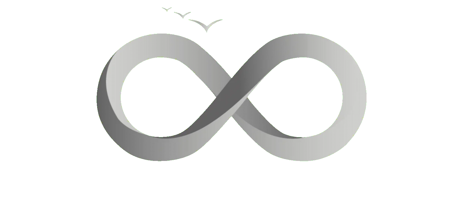 nfinnerty electrical logo